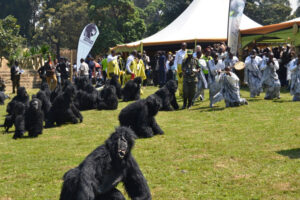 Kwita Izina is a gorilla naming ceremony 