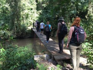 Hiking and nature walks into Queen Elizabeth park