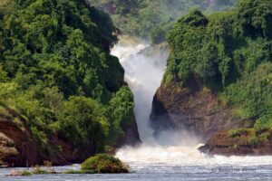 Most powerful falls in the world Murchison falls.