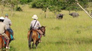 Horse- riding in Lake Mburo park