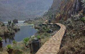 The-walkway-Rwenzori-Mt